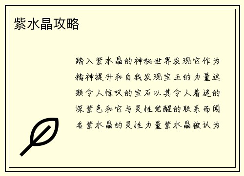 紫水晶攻略