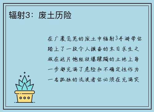 辐射3：废土历险